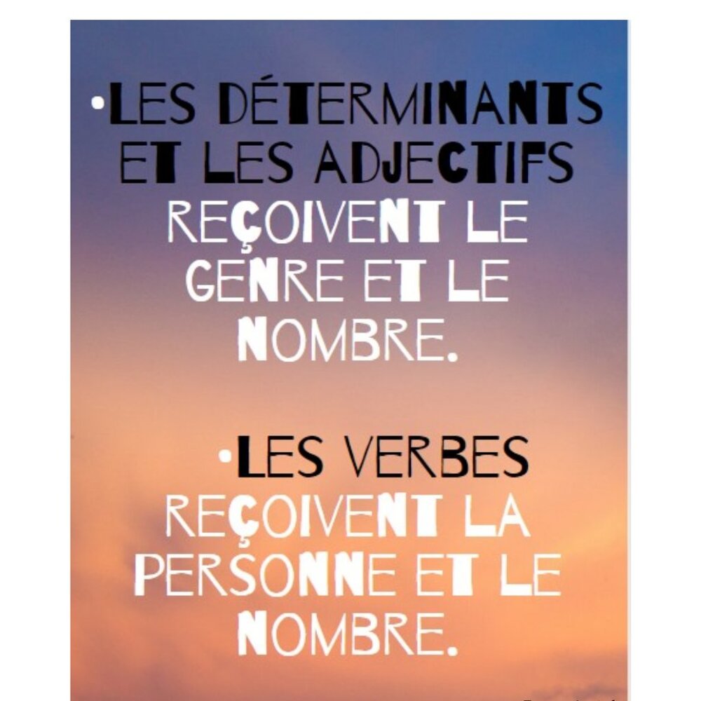 French / self learning - Picture 13 of 16